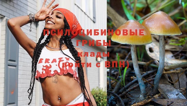 соль ск Магас