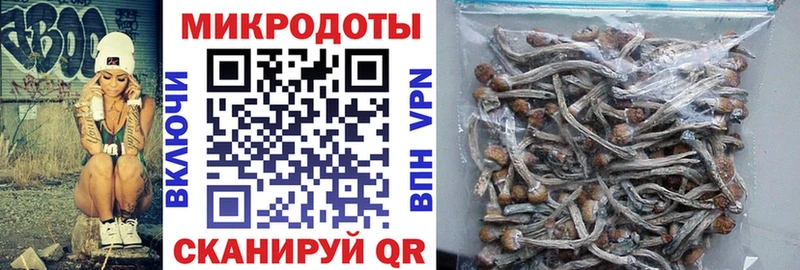 Псилоцибиновые грибы Psilocybine cubensis  Сольцы 