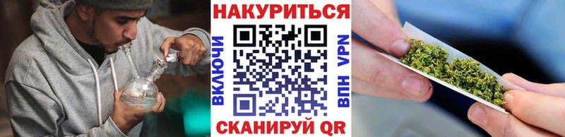 Бошки Шишки SATIVA & INDICA Сольцы
